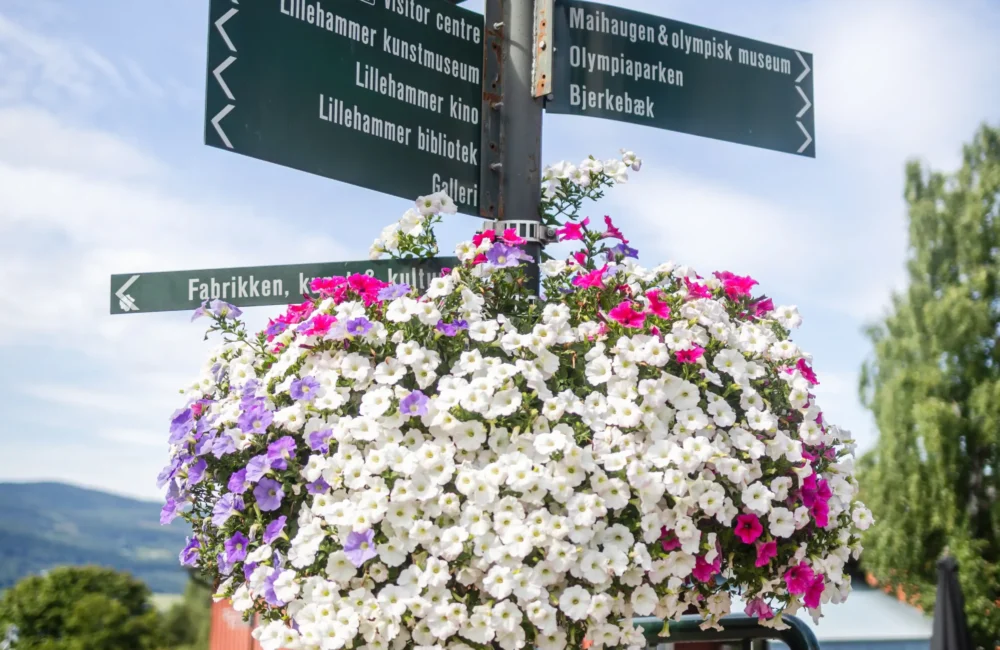 Blomsterhagan_leiligheter_omradet_694A9580 Blomsterhagan_leiligheter_omradet_694A9580